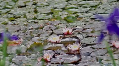 Welfare background 2